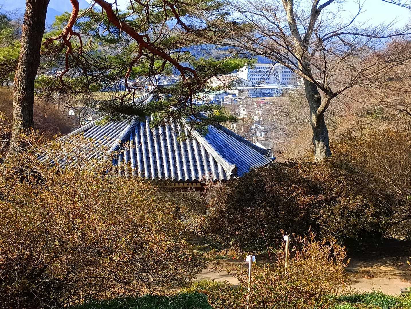 神成山ハイキングコース入口-神成山 往復コースの写真