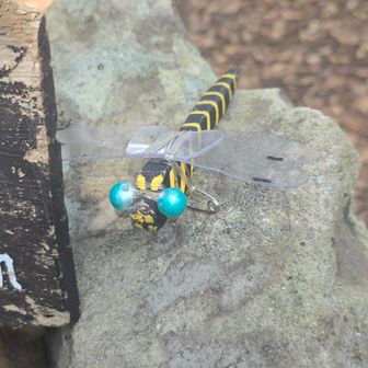 おやオニヤンマ？落とし物？ここに住んでるの？
（2日前に主に置いてかれたの…ぐすん）