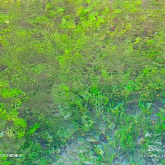 男池の湧水・・・