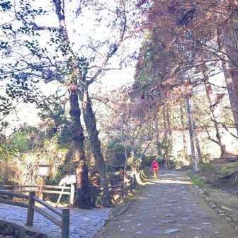 空気が凛として気持ち良い所ですね