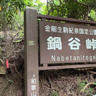 鍋谷峠✨

車道の横の林道など通ってきたりして、
三国山地トレイルの↔️起点と終着点みたいでした。

今日のコースの目的地に到着🙌。

次回は和泉葛城山から未踏の道を歩いてここまでピークをとりながら山行しようと計画立てようと思っています。