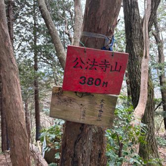 公法寺山