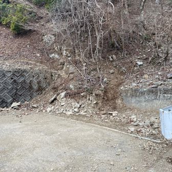 降りルート、落ち葉と急降で怖かった。
下山下手の私はブレーキかけまくりで足痛む(｡˘-＿-｡)

この後、少しして雨が降り出す。
濡れなくて良かった。