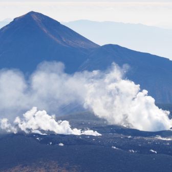生きてる！って感じ