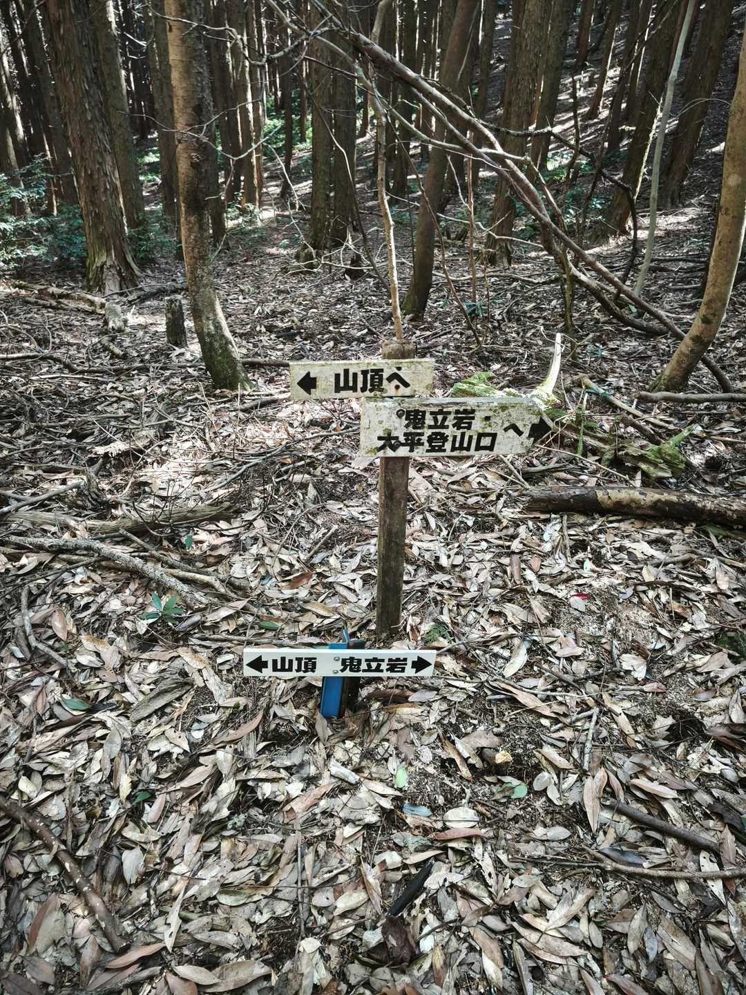鬼立岩（おんたていわ）の分岐。
反時計回りが良いですよ🤗
時計回りに歩いたけど大変だった😱