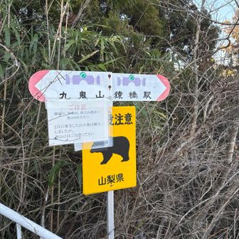 2月に山火事だったんですね。知らなかった…