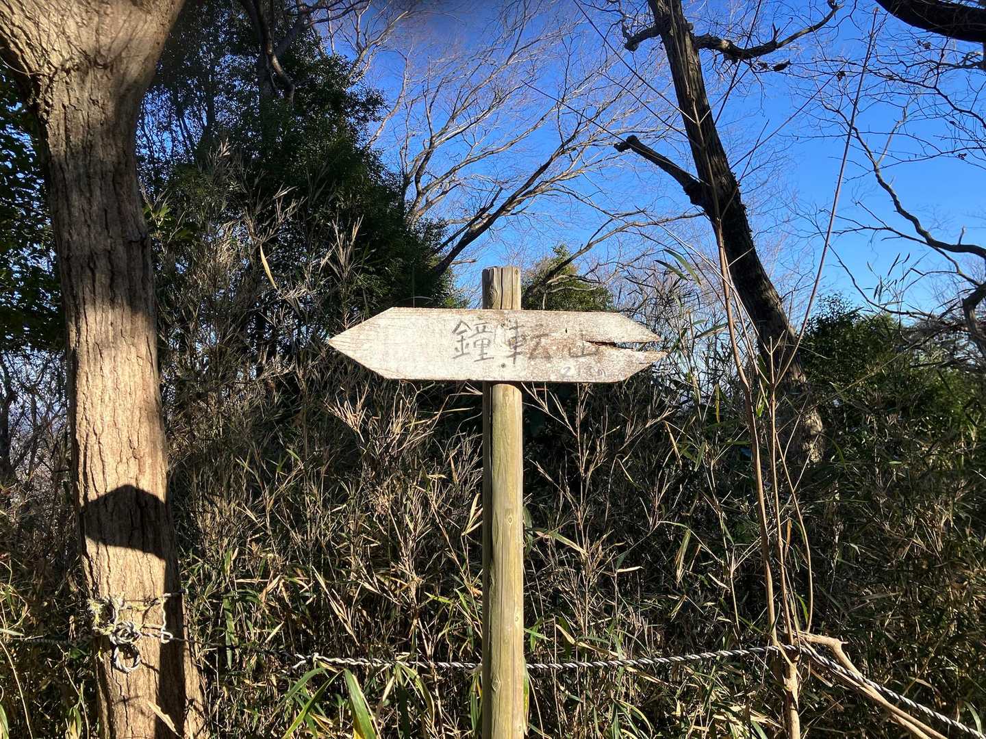 山頂⛰️展望無し