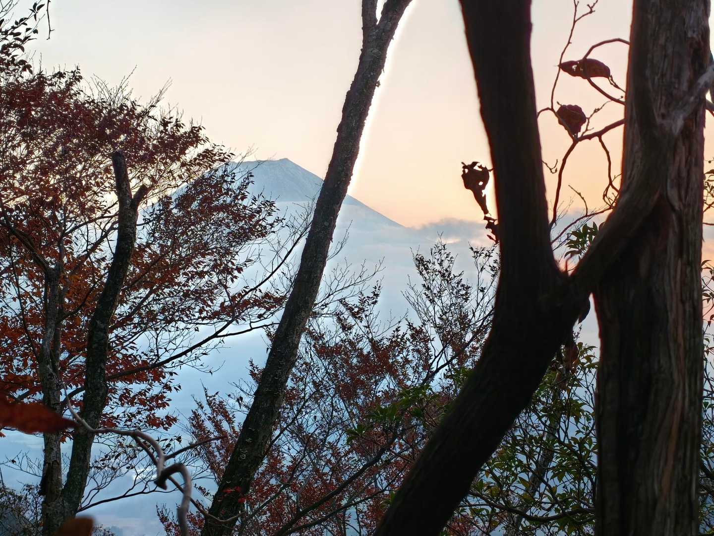 本日初の富士山を確認！😄