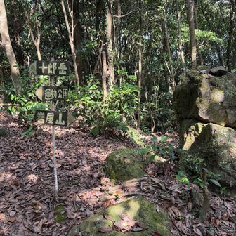 十郎岳と岩屋山の分岐