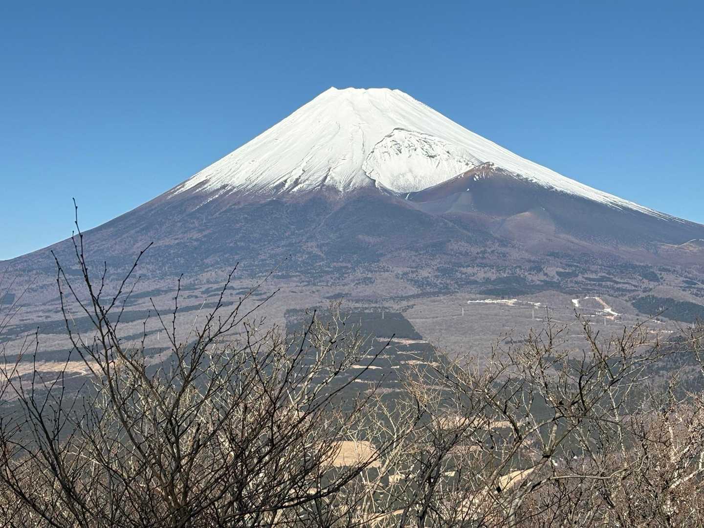 山頂手前の平坦地から。