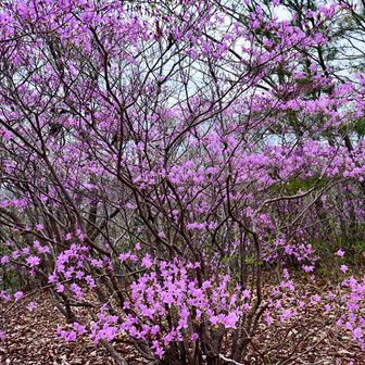 眺望はないけれど、この空間に癒されました😊