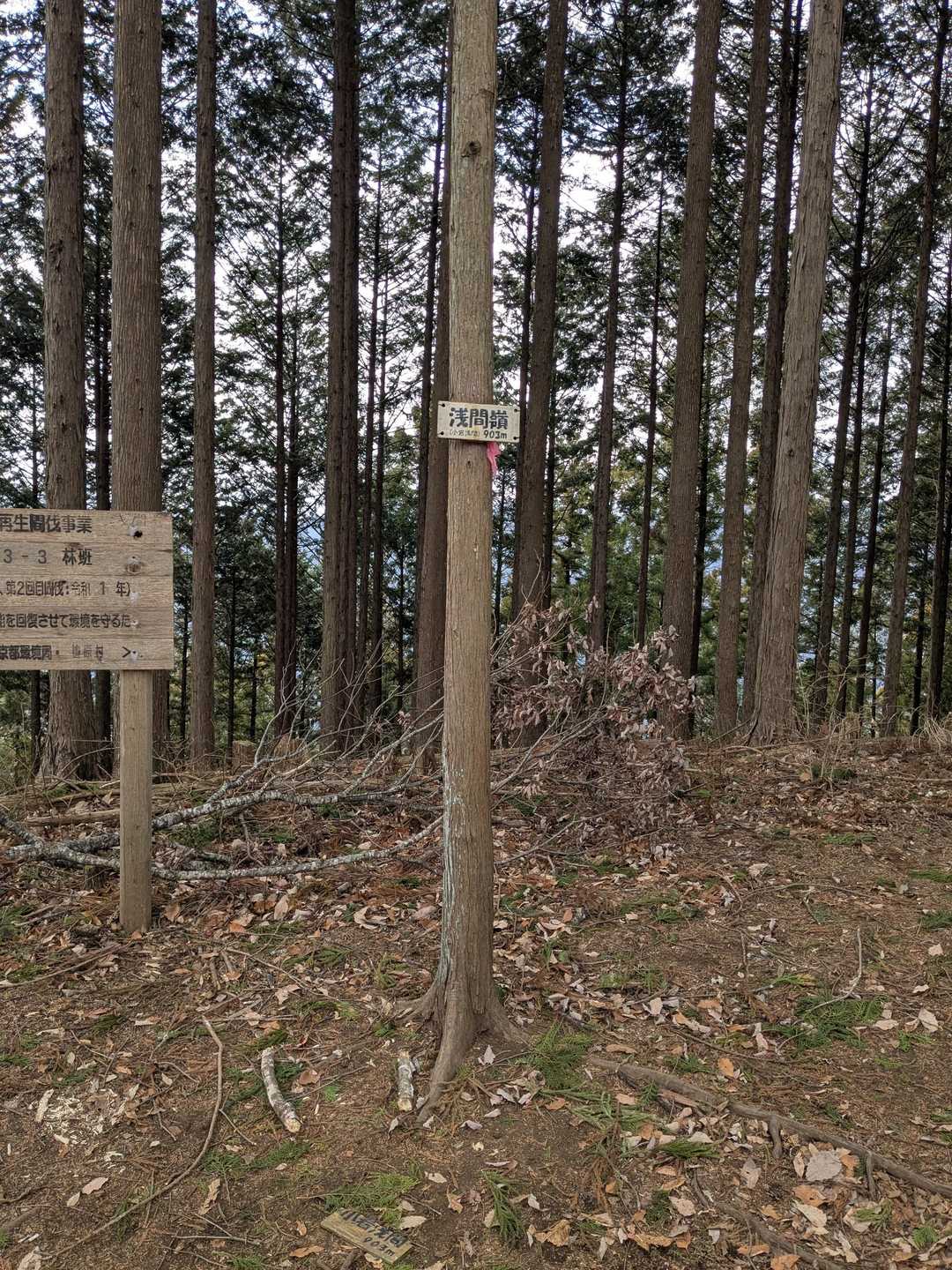 こちらが浅間嶺の山頂。