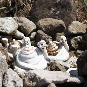 スタバのシナモンロールは真ん中だけフワフワで美味しいんですよね🤤