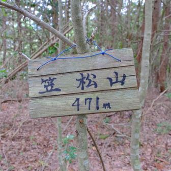 あっという間に、笠松山⛰️🙌
笠松山という名前だけあって、松の木が多いように思いました。松食い虫の影響と思われる枯れ木や倒木がありました🌲