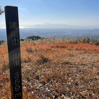 7座目　鳴川山△