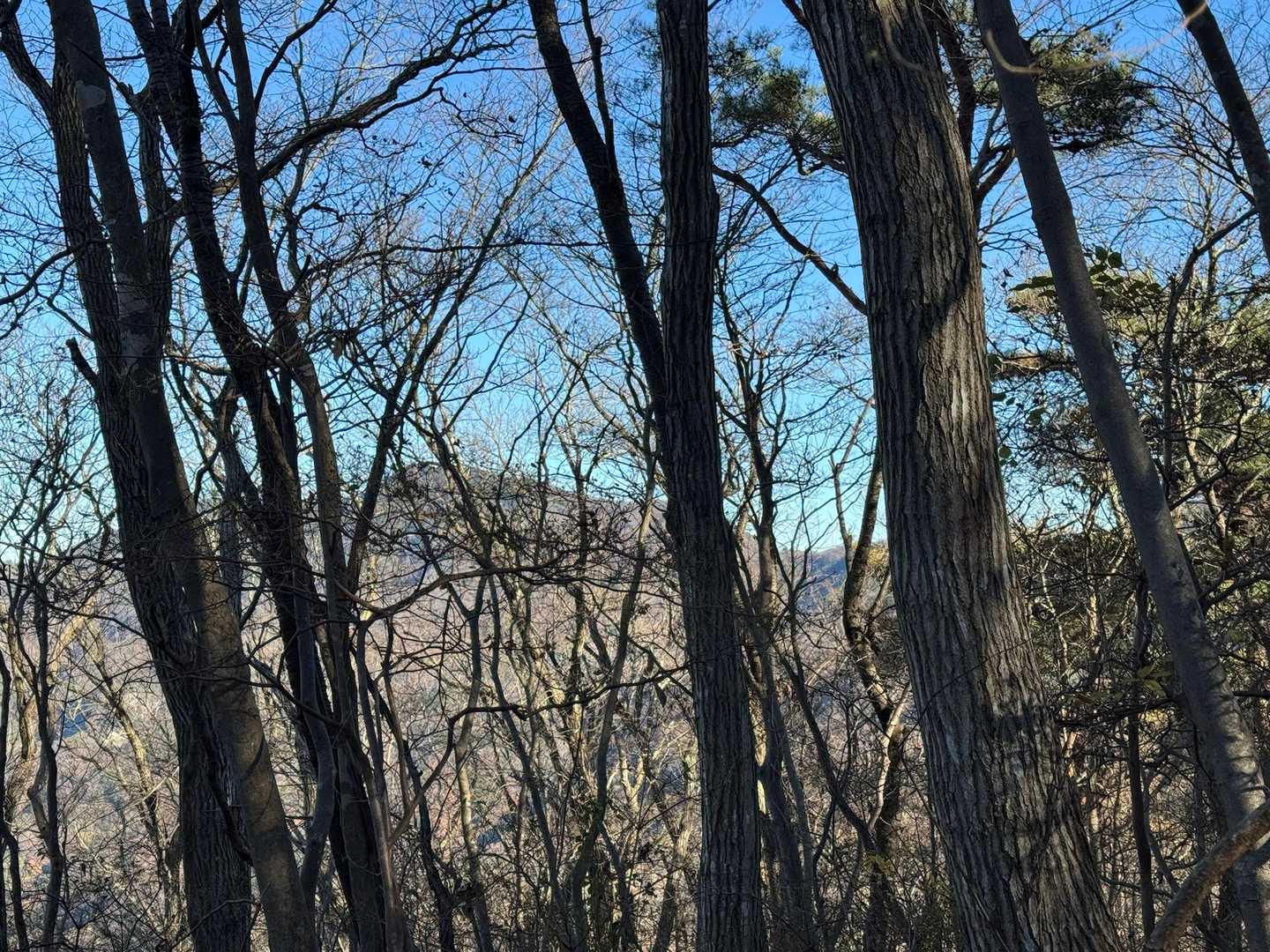 先週登った加波山が見えます