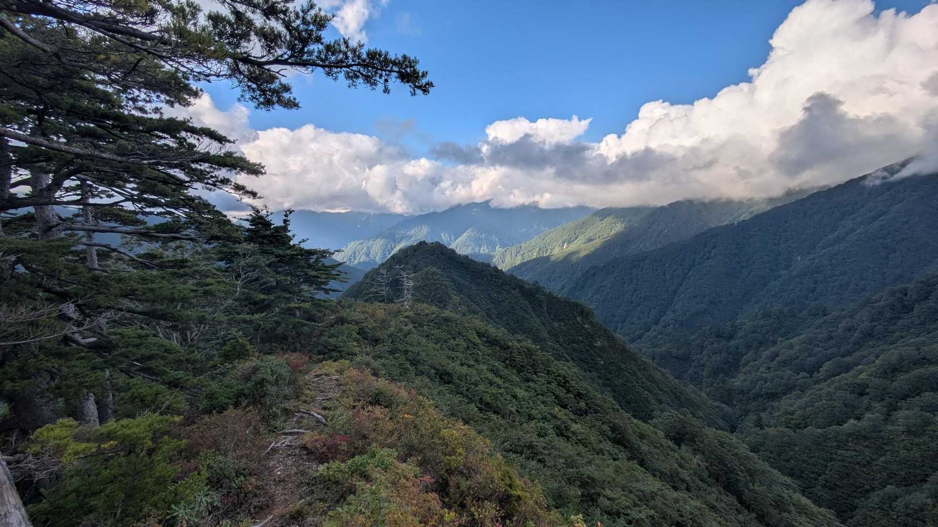 中ノ岳は、終始見えませんでした🤣