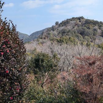 さっき登った宝珠山です