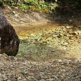 綺麗な川に🐟🐟