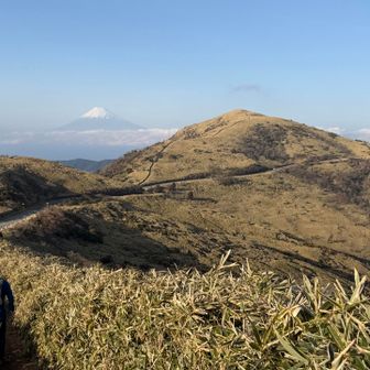 やっと達磨山が見えたら富士山も現れた🗻
