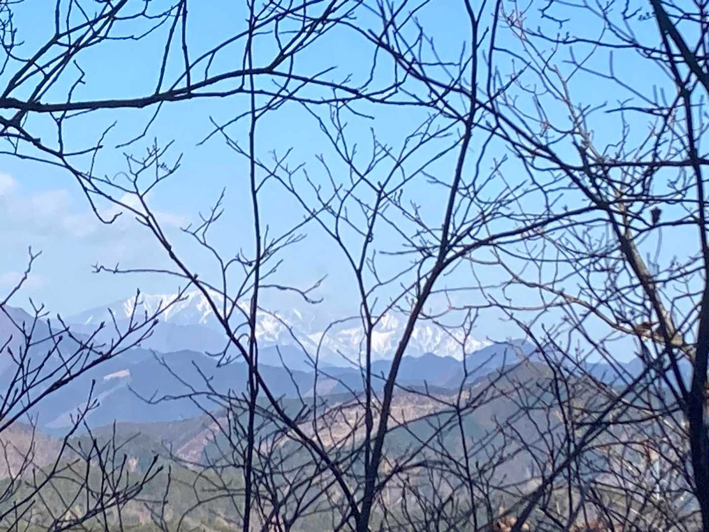 枝が邪魔ですが、女峰山です。