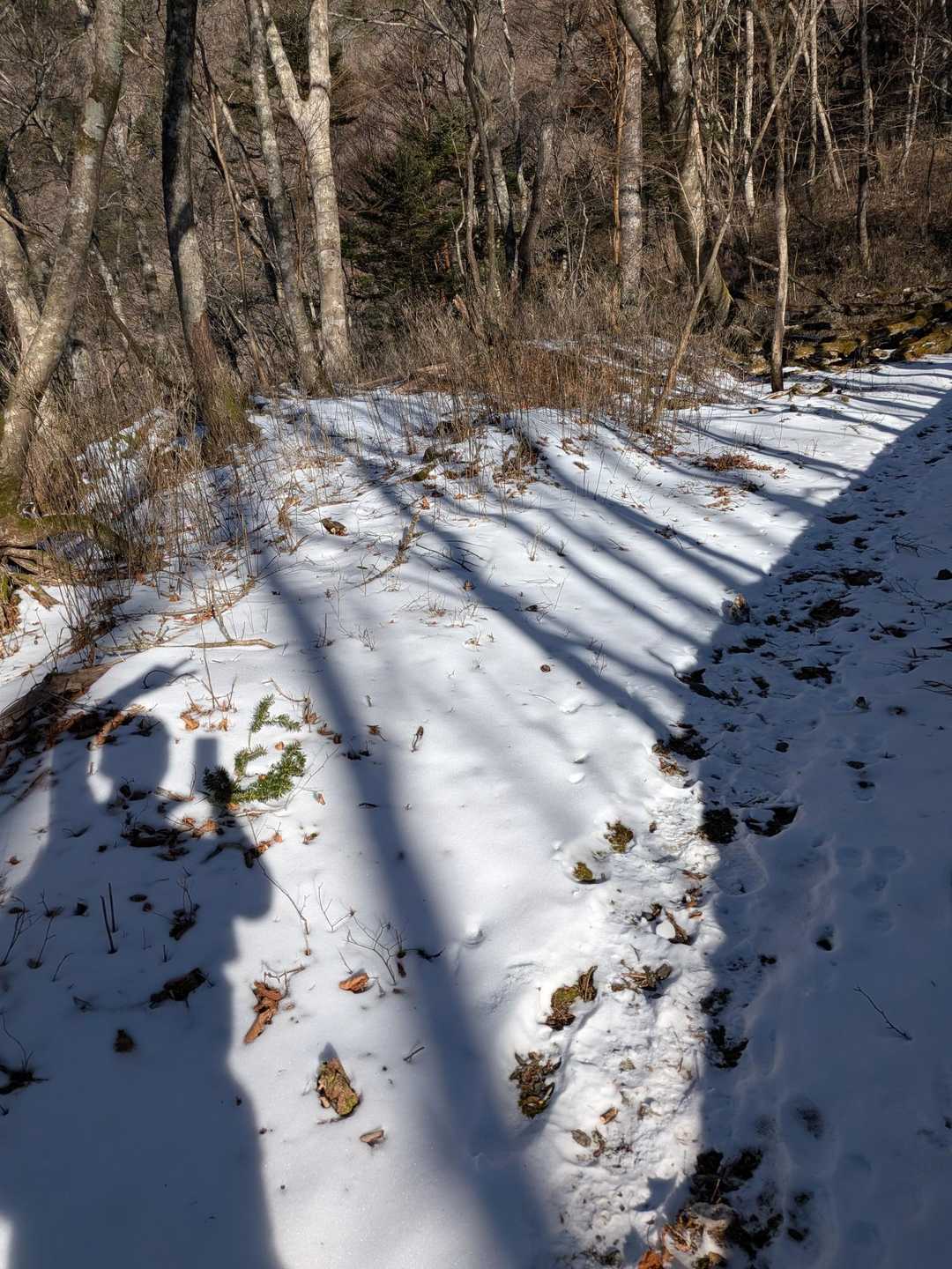 本日最初のぴーっす✌️
雪の照り返しが気になり🎊初サングラス🎉かけました。