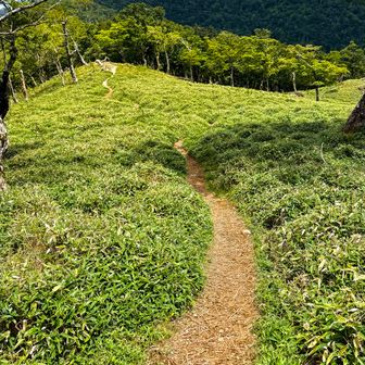 
目指す場所が、ちょっとずつ近づいて見えるんて なんか良いやんな😊
