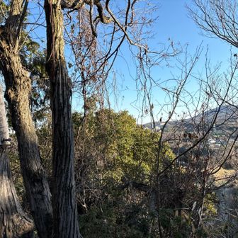 下にモトクロスのコースがあるらしいです
バイクが見えます🏍️