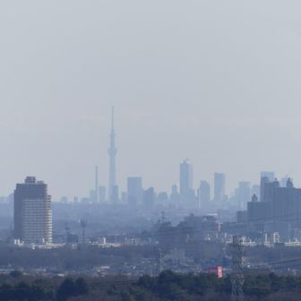 スカイツリー、最近この景色多いですね、、、