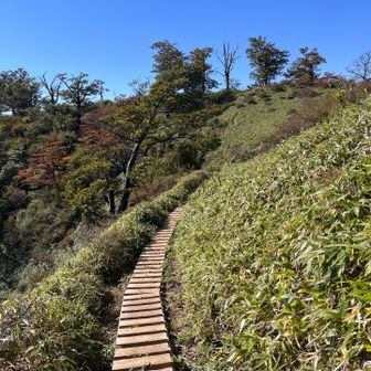 木道と階段を進みます