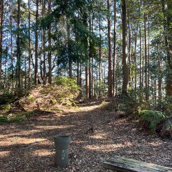丸子城跡。吸い殻入れがたくさん💦