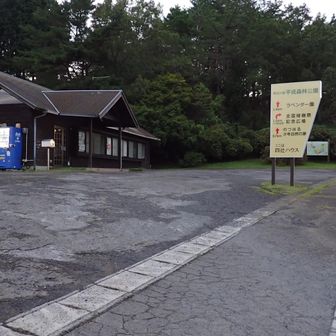 四辻ハウス（営業しているのを見た事が無い）の駐車場からスタート。