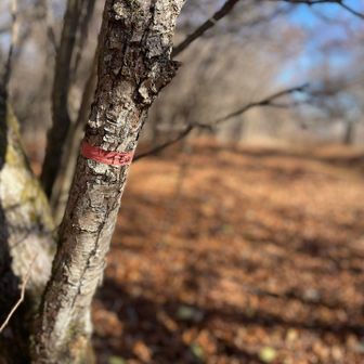 下りでのピーク見っけた！
わかんないねーこれは笑