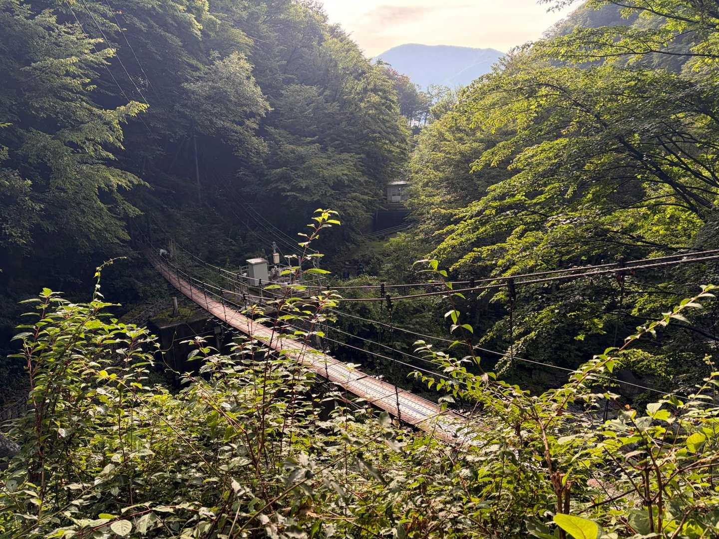 また出た❗️吊り橋。
しっかりはしてるけど、かなりグラングラン揺れます🫨
高所恐怖症の人は注意⚠️