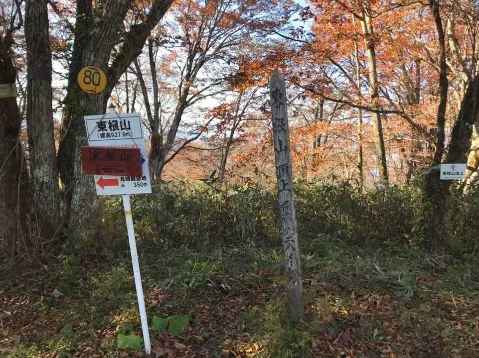 東根山の写真