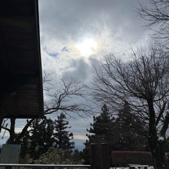 少し日差しが🤏