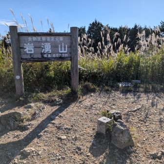 岩湧山頂上 標高897.7m