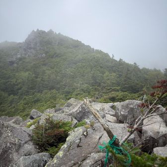 次はあっちか？