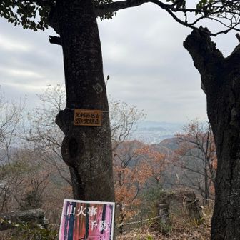 そして本日ラスト。26.大坊山。距離と標高差以上に気持ちが疲れる1日26ピークでした。