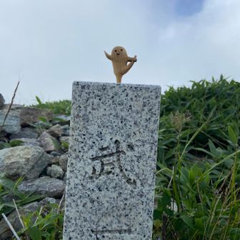 Ｙ字バランスくん💕