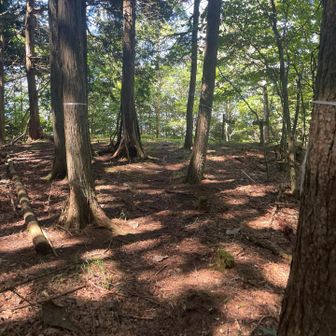 鹿倉山に到着。