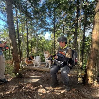 皆んな仲良し🐶