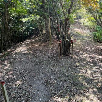 はい、問題の所・・・
この看板の「直登」を信じなかった私は、そのまま進んで登山を汗かきながら楽しみました・・・
お試しあれ。