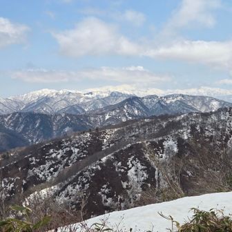 目の前には白山✨