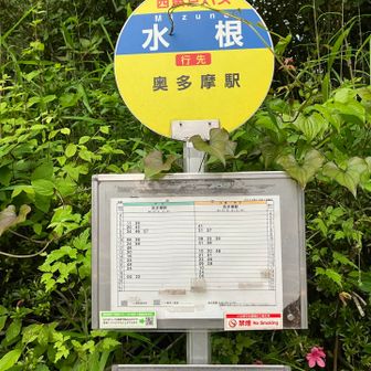 水根までは奥多摩駅から西東京バスで来ることも可能です。あまり早い時間はありませんが本数はそこそこありそうです。(画像は奥多摩方面の時刻表です。)