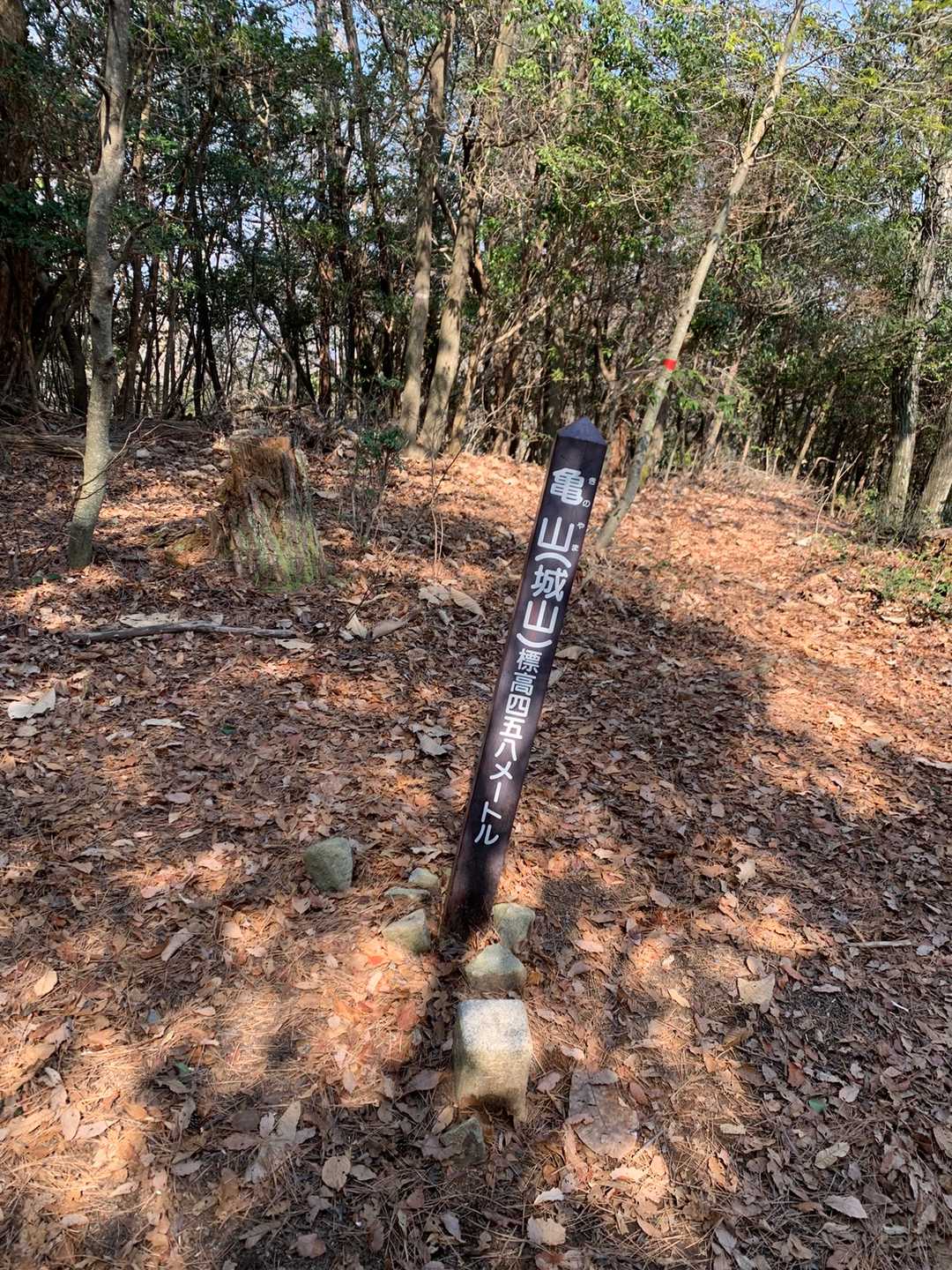 そして、本日のボス、亀山到着🐢⛰✨

でも、この先の祇園嶽っていうのが、標高落ちるものの、岩岩でクセモノみたい👀

楽しみやーん🤩