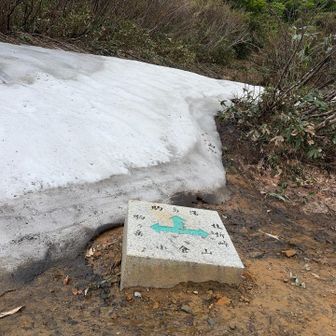 小倉山から少しだけど残雪が現れます。