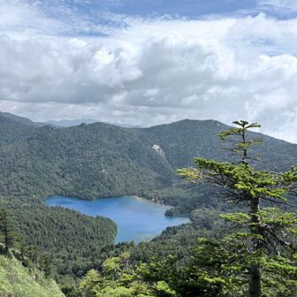 裏志賀山にいらした方から「少し奥まで歩くともっと綺麗だよ」と教えてもらった🩵