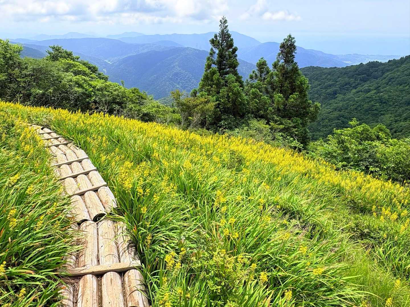 振り返るとこんな景色😊