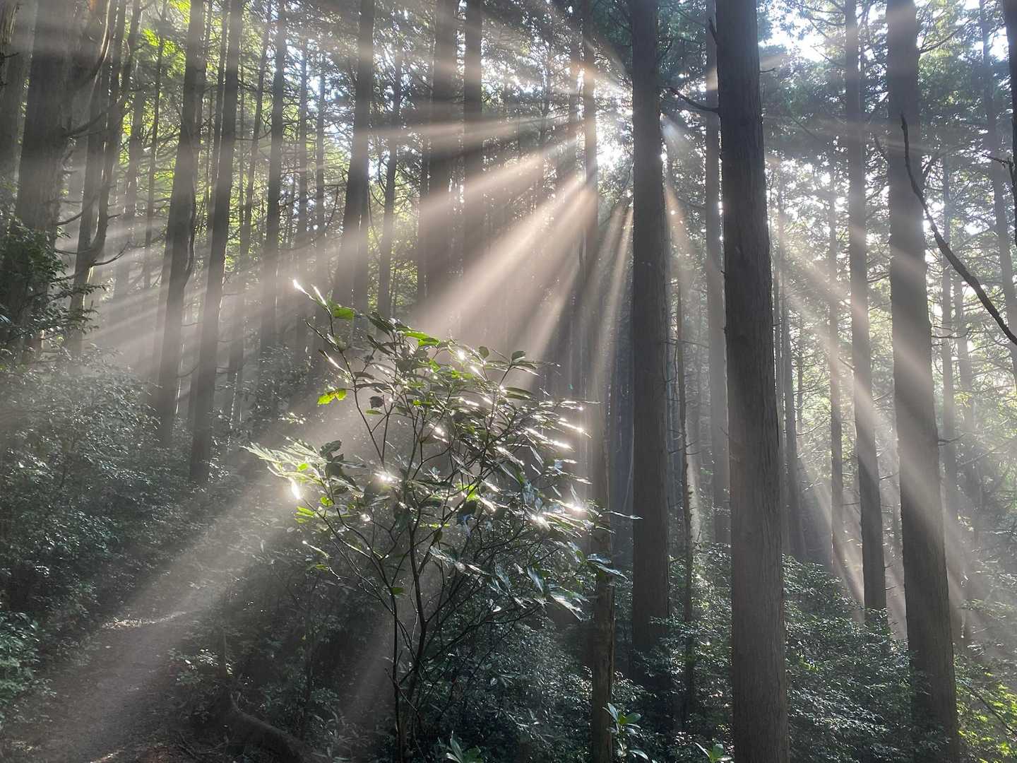 あれ！？なんかすごい✨✨🌞
